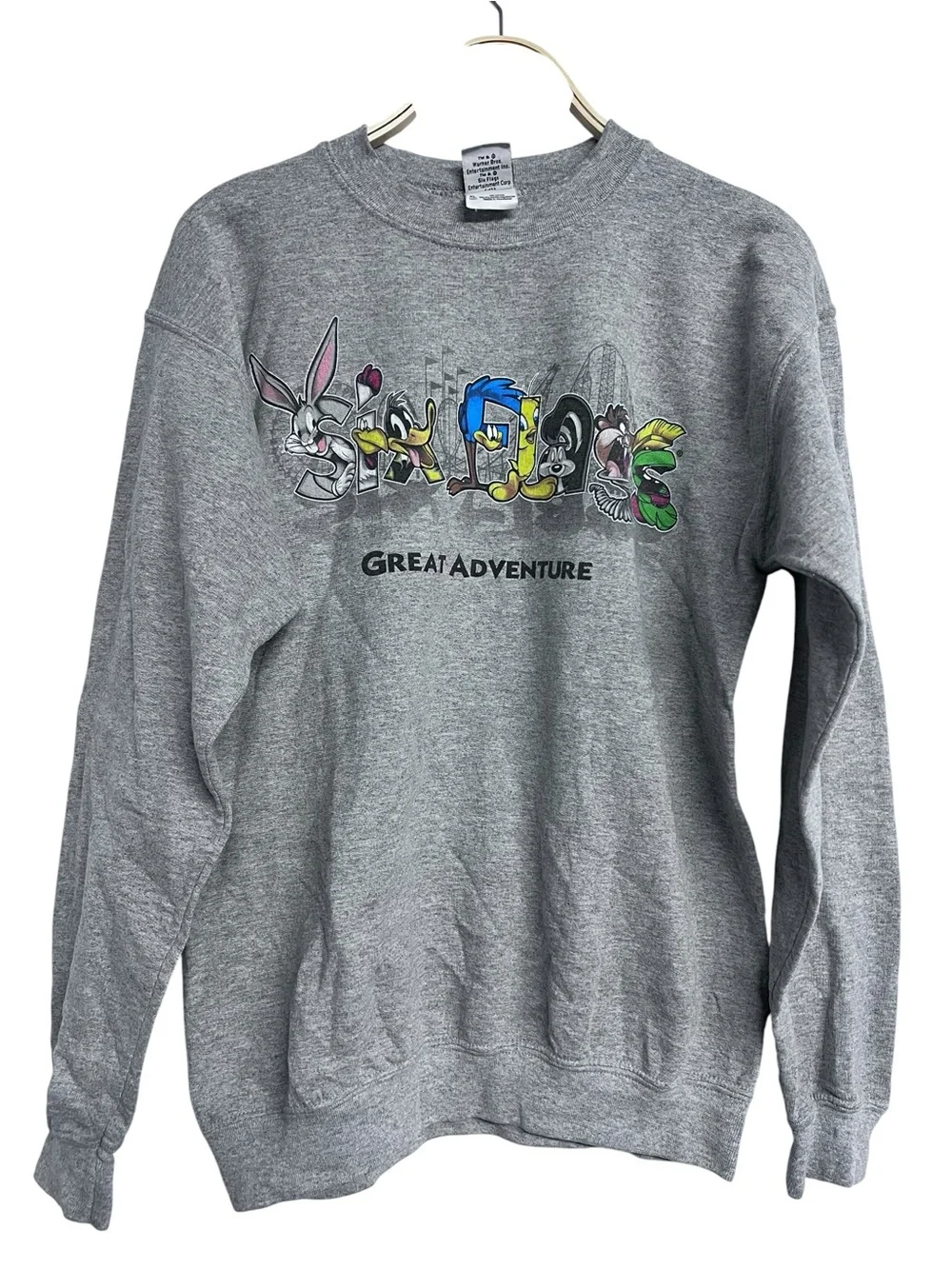 Vintage Youth Sixflags Great Adventure Grey Looney Tunes Crewneck Sweatshirt